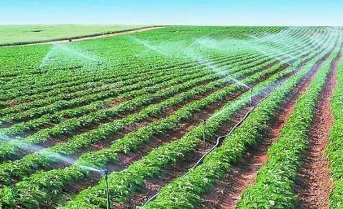 舔阴茎视频农田高 效节水灌溉